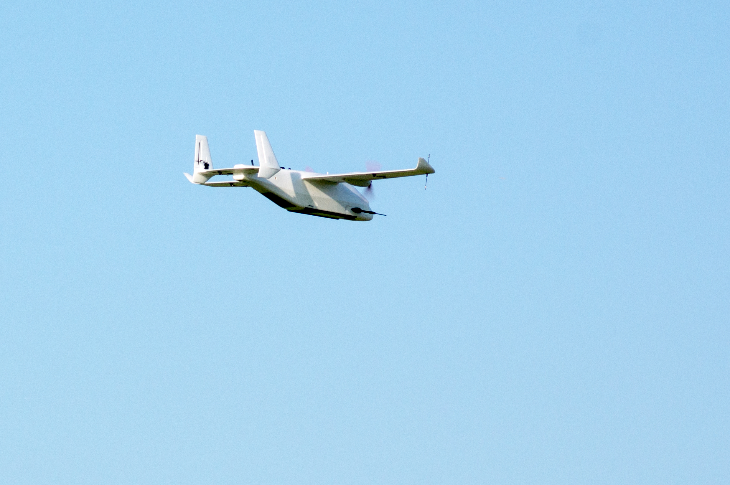 Orca flying